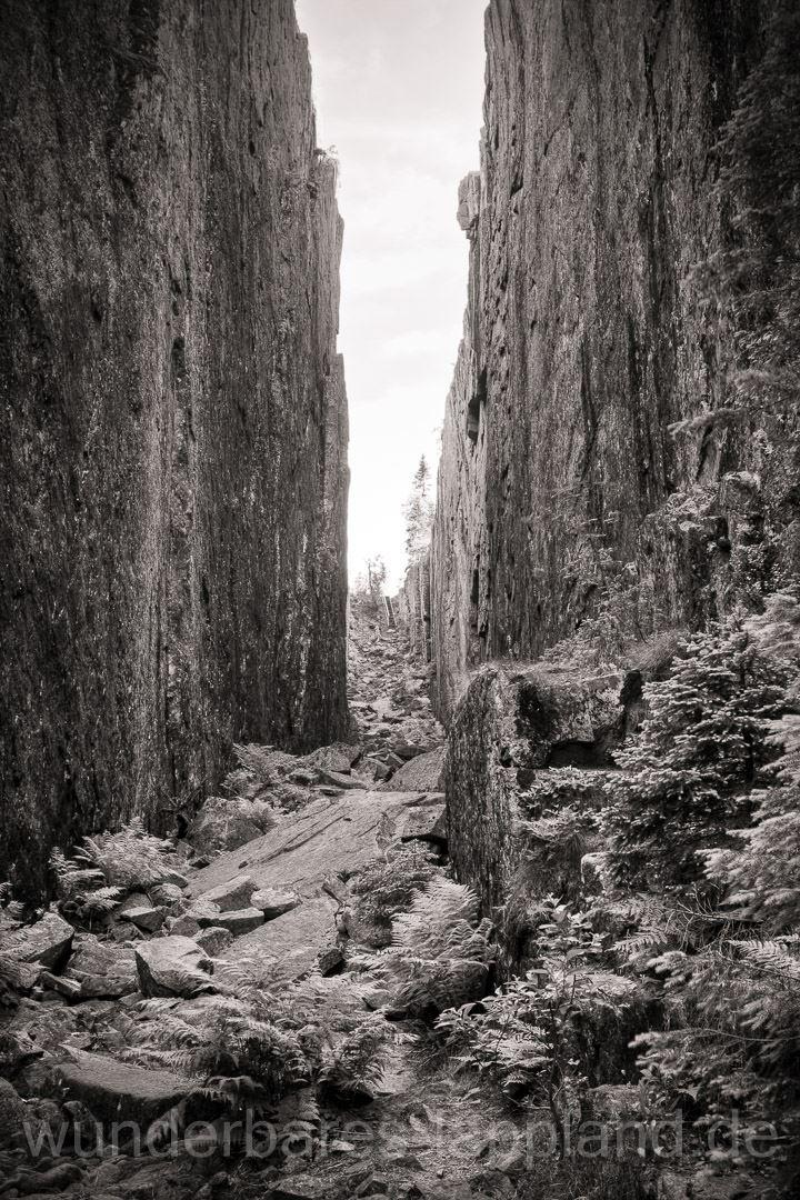 Skuleskogen Nationalpark