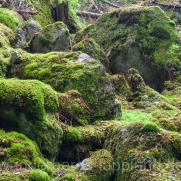 Tiveden Nationalpark