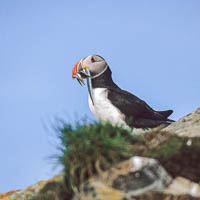 Varanger