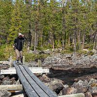 Pärlälvens Fjällurskog