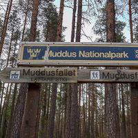 Muddus Nationalpark